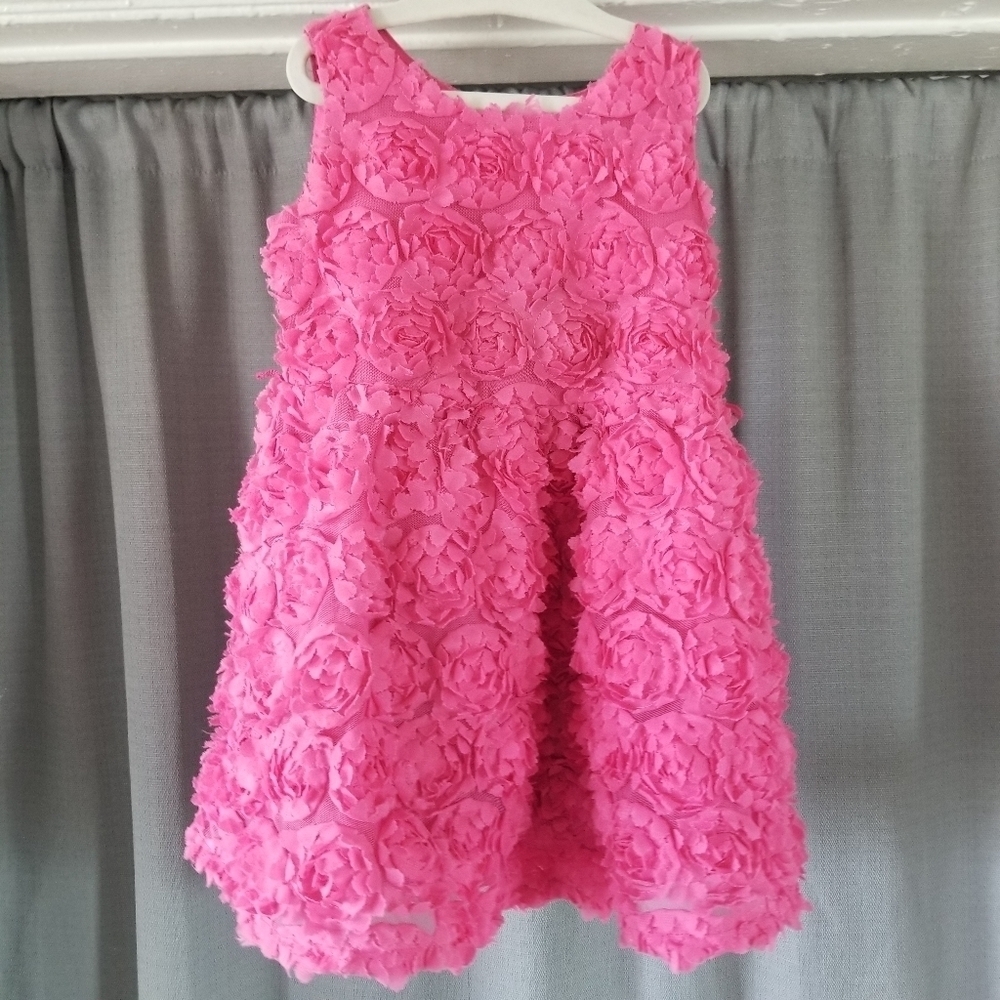 The Children's Place | Rose Design Dress